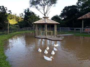Sítio - Venda - Taquaraçutuba - Imaruí - SC