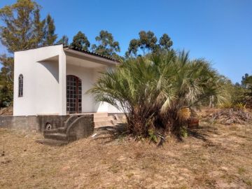 Sítio - Venda - Barbacena - Laguna - SC